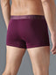 Cotton Lycra Purple Long Trunk