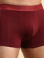 Cotton Lycra Maroon Long Trunk